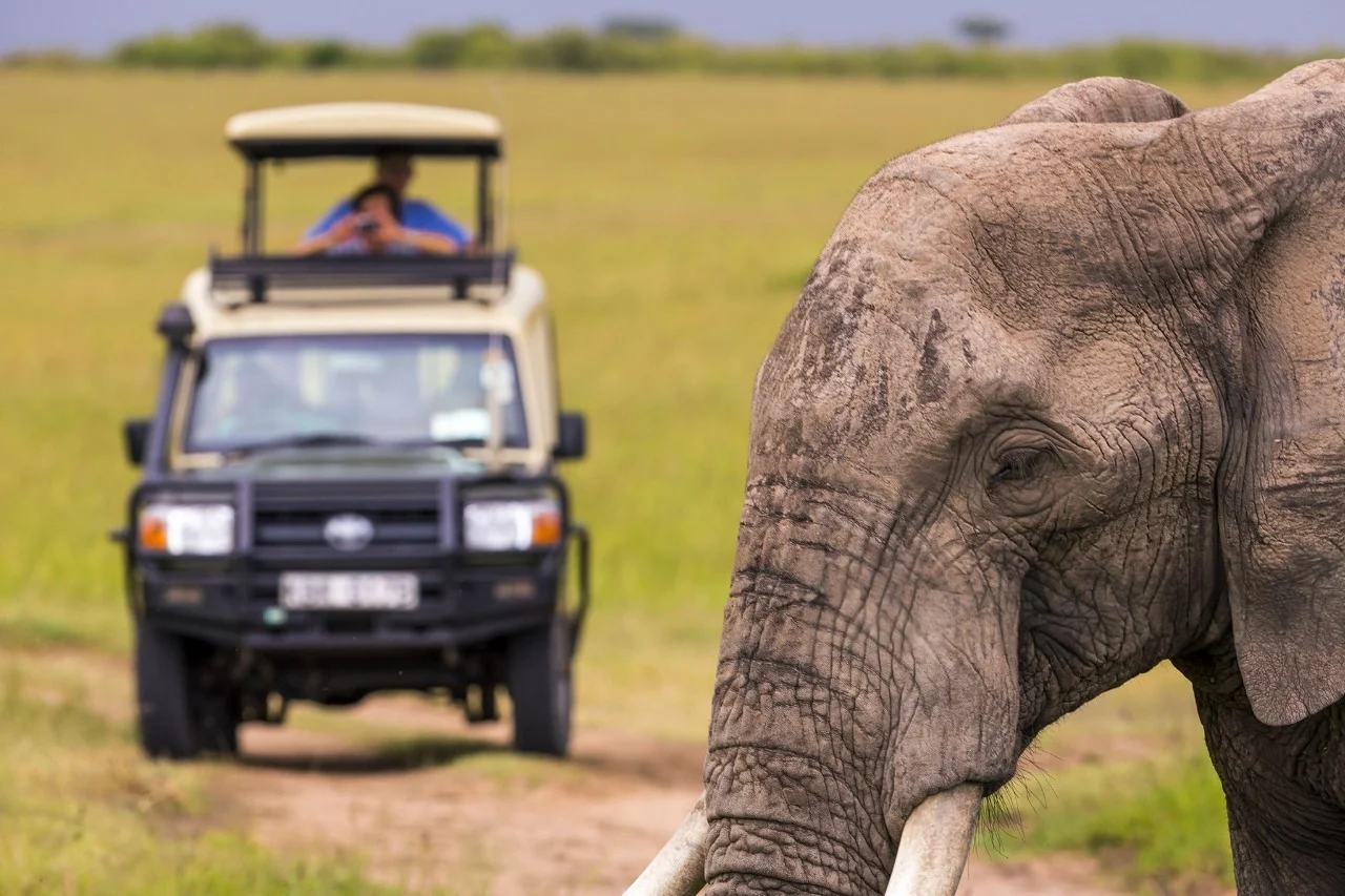 Game Drives