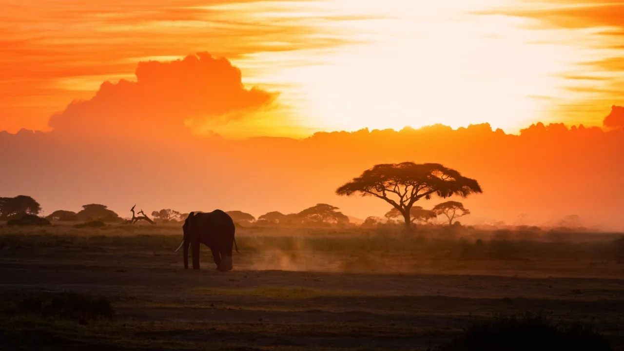 Sundowners